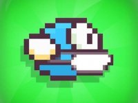 Sky Bird Flight Challenge