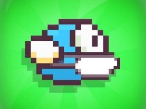 Sky Bird Flight Challenge