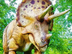 Triceratops Jigsaw Puzzle Game