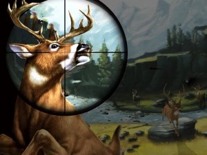 Nature Pathfinder Observation Game
