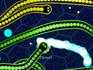 Gulper.io Snake Arena