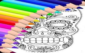 Pattern Art Coloring Puzzle
