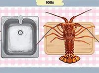 Dolly's Restaurant Organizing Puzzle